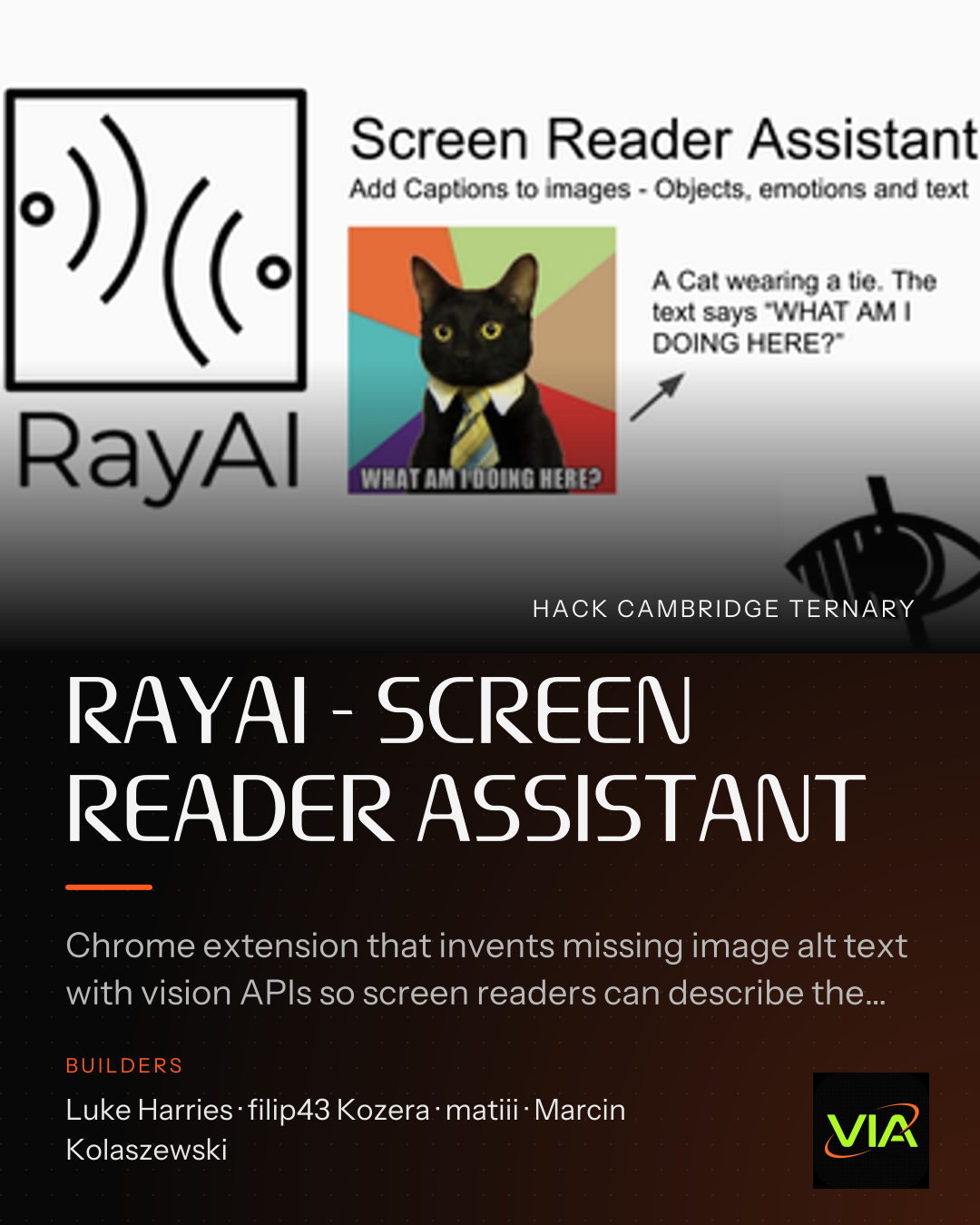RAYAI - SCREEN READER ASSISTANT